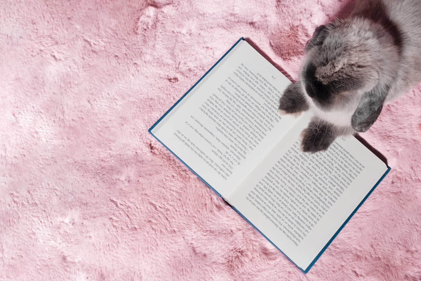 Grey rabbit reading book on pink carpet - blog on reasons to say goodbye to wet signature